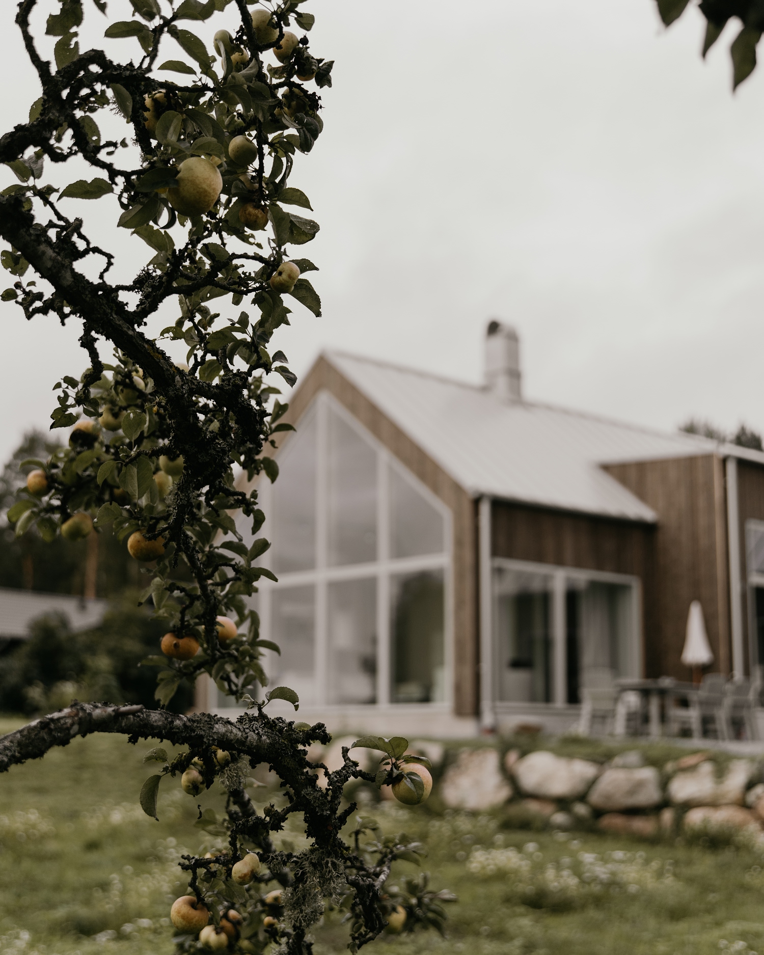 INR-reportageFotografElinneDaniels-43 1.jpg